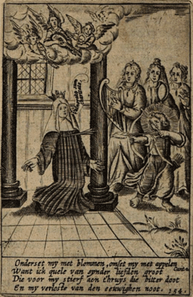 illustratie