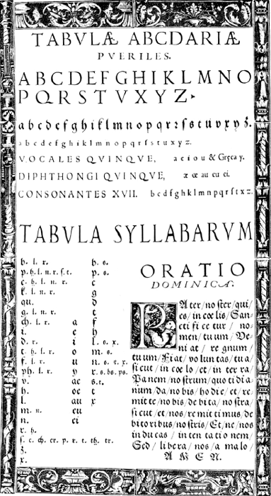 illustratie