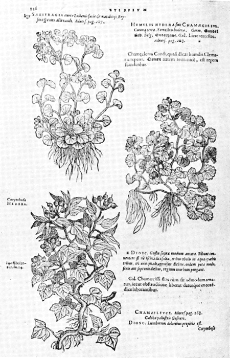 illustratie