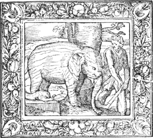 illustratie