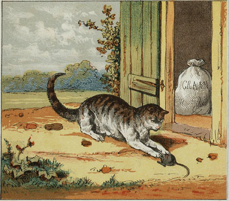 illustratie