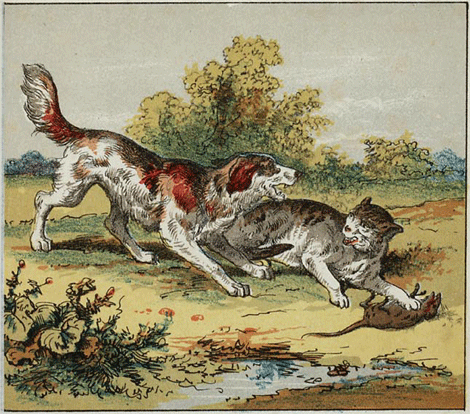 illustratie