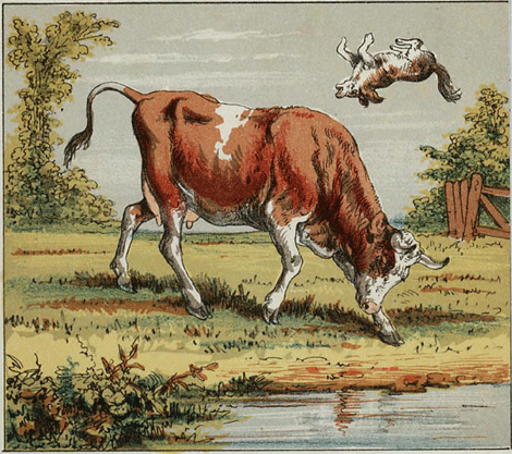 illustratie