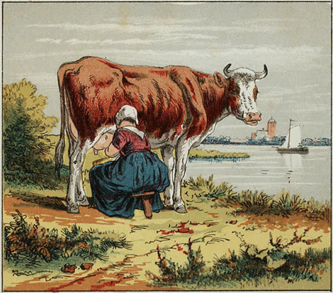 illustratie