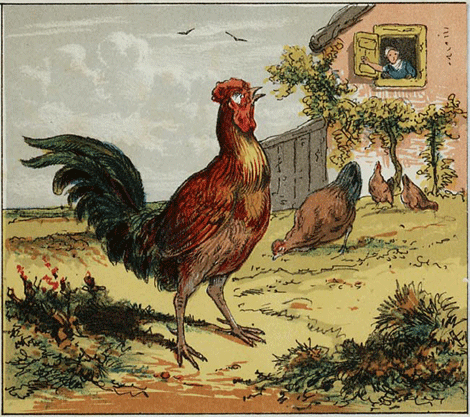 illustratie