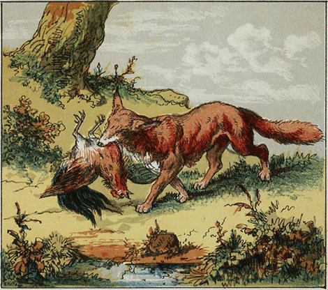illustratie