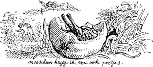 illustratie