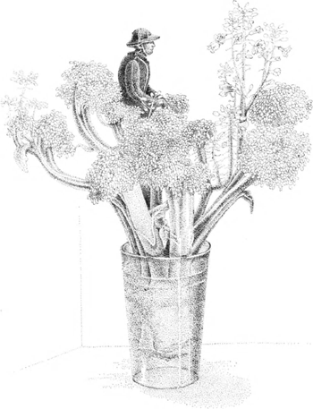illustratie