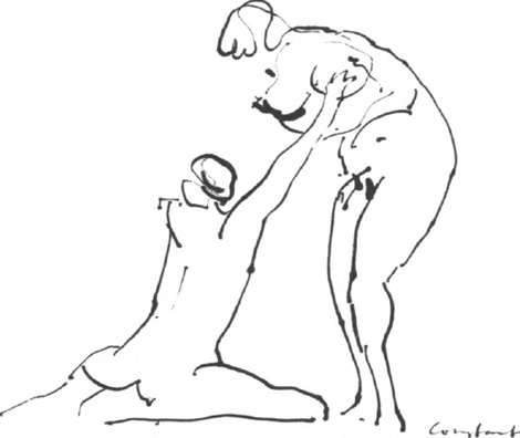 illustratie
