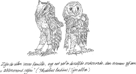 illustratie