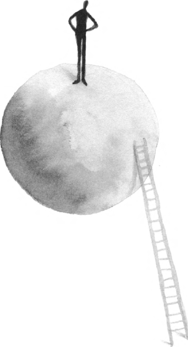 illustratie