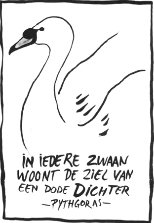 illustratie