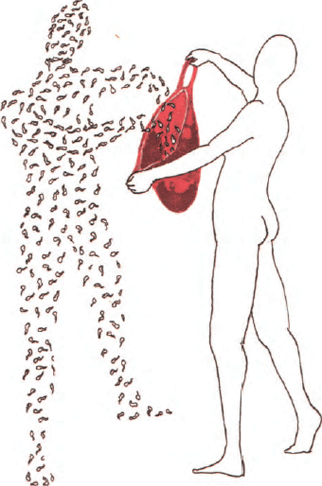 illustratie