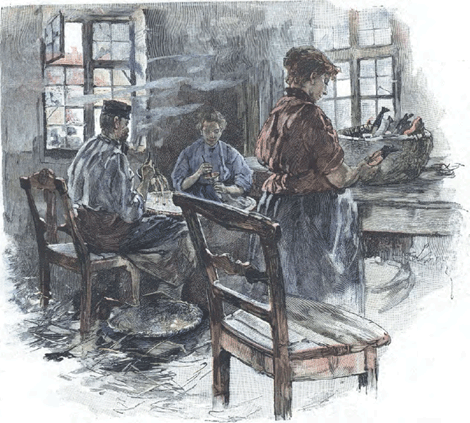 illustratie