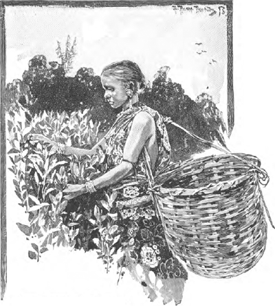 illustratie