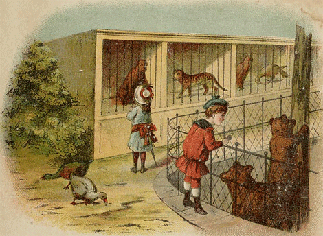illustratie