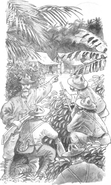 illustratie