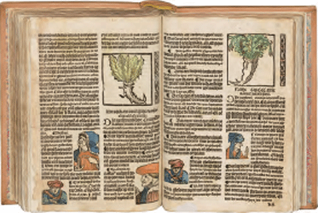 illustratie