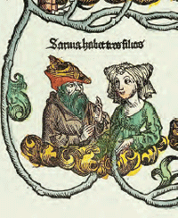 illustratie