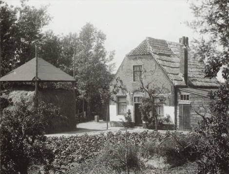 illustratie