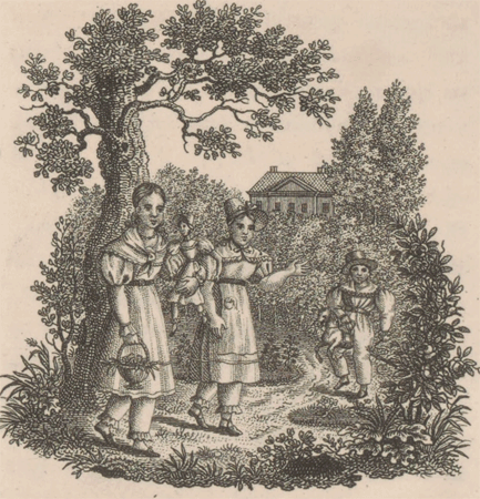 illustratie