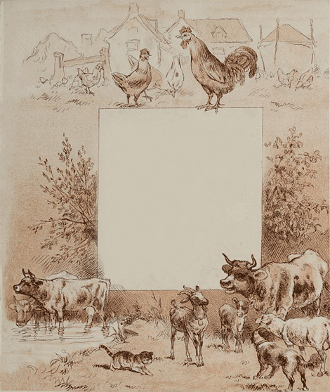 illustratie