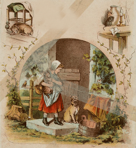 illustratie