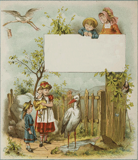 illustratie