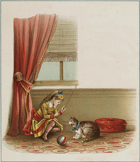 illustratie