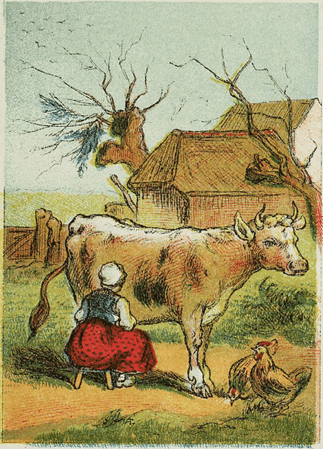 illustratie