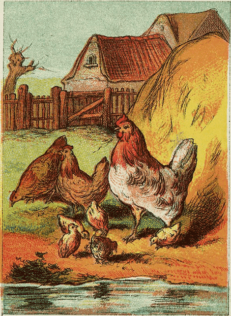 illustratie