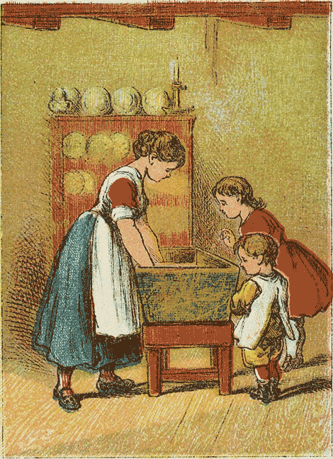 illustratie