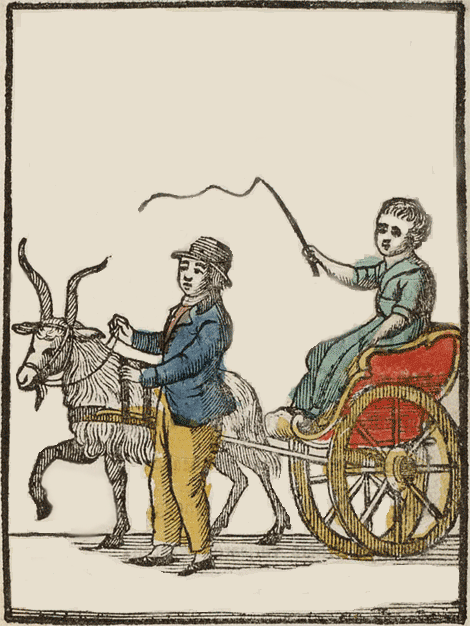 illustratie