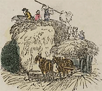 illustratie