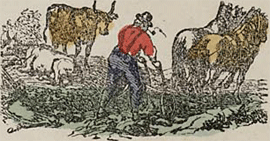 illustratie