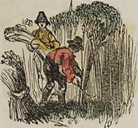 illustratie