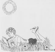 illustratie