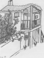 illustratie