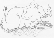 illustratie