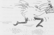 illustratie