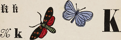 illustratie