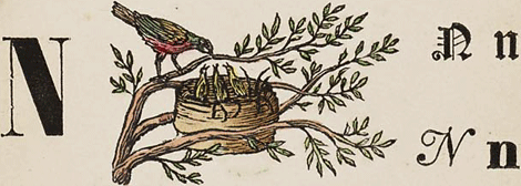 illustratie