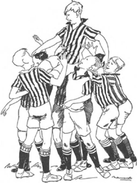 illustratie