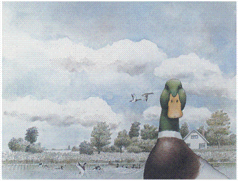 illustratie