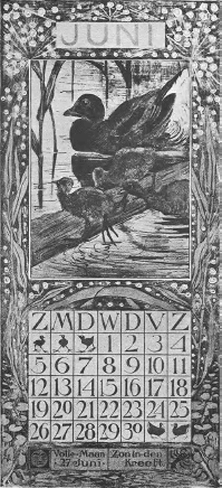 illustratie