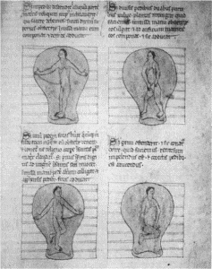 illustratie