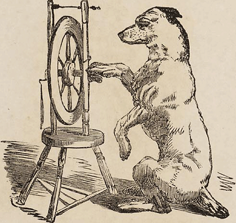 illustratie