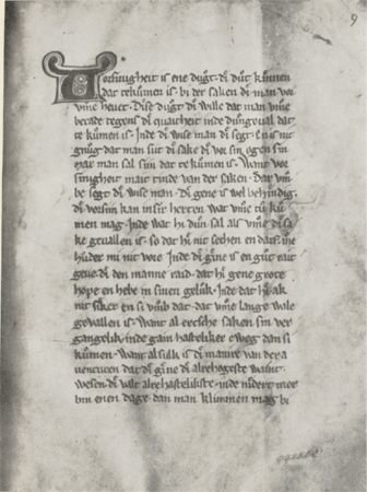 illustratie