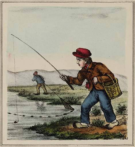 illustratie
