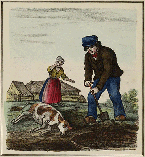 illustratie